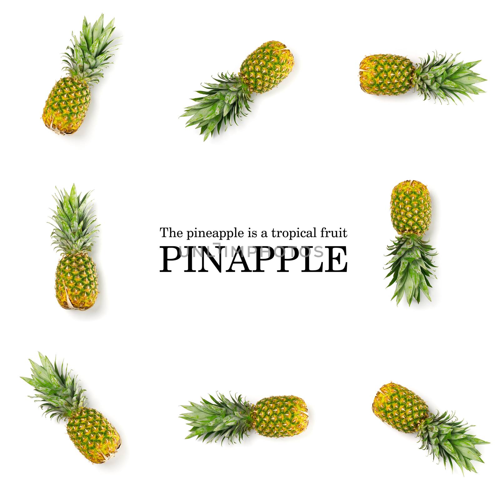 Creative Pineapple layout with sample text. Tropical fruits concept. Pineapple on white background.