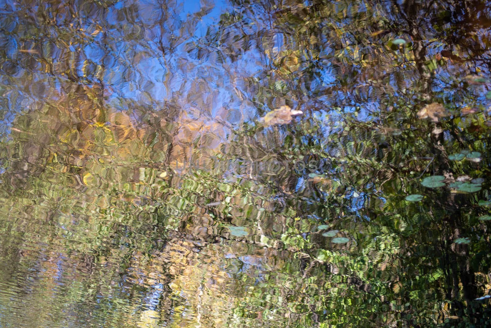 Beautiful abstracy autumn colors ripple and flow in the forest lake. Trippy image with texture and copy space.
