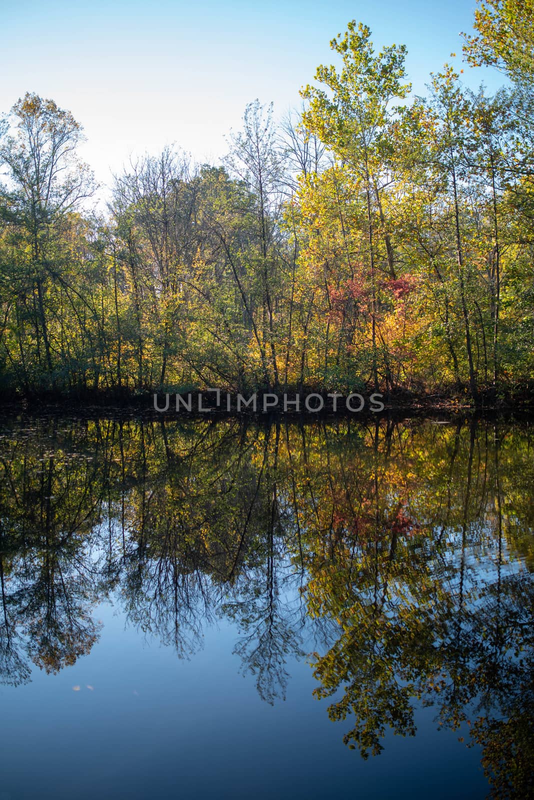 Autumn reflection of a colorful forest in a  quiet, tranquil blue lake. Full frame in natural light with copy space.