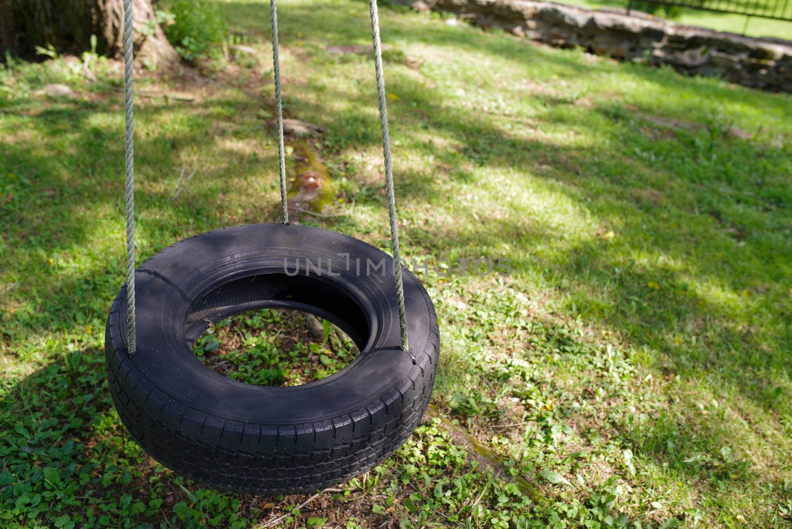 Tire swing hangs silen over a green grass yard, no people. Shot in natural light with copy space.