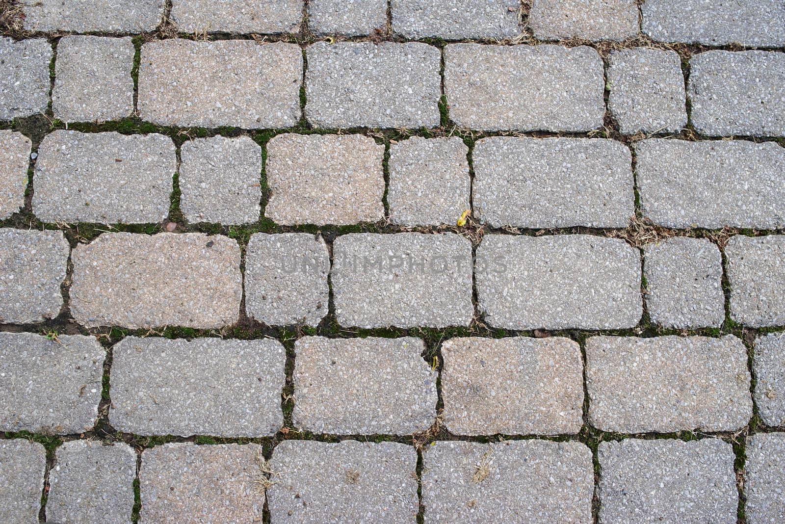Beautiful full frame background image of old weathered paving stones / cobblestones. Subtle colors and textures.