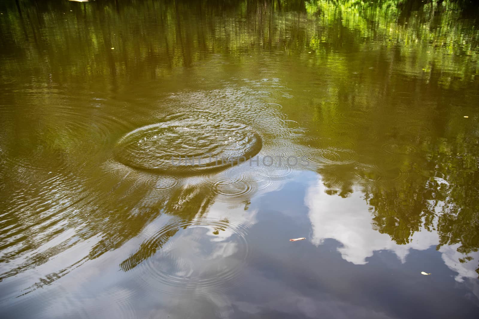 Full frame image of a forst pond reflecting a big blue sky with white clouds and woodland surroundings marred by a disturbance that forms ripples, breaking the smoth image.