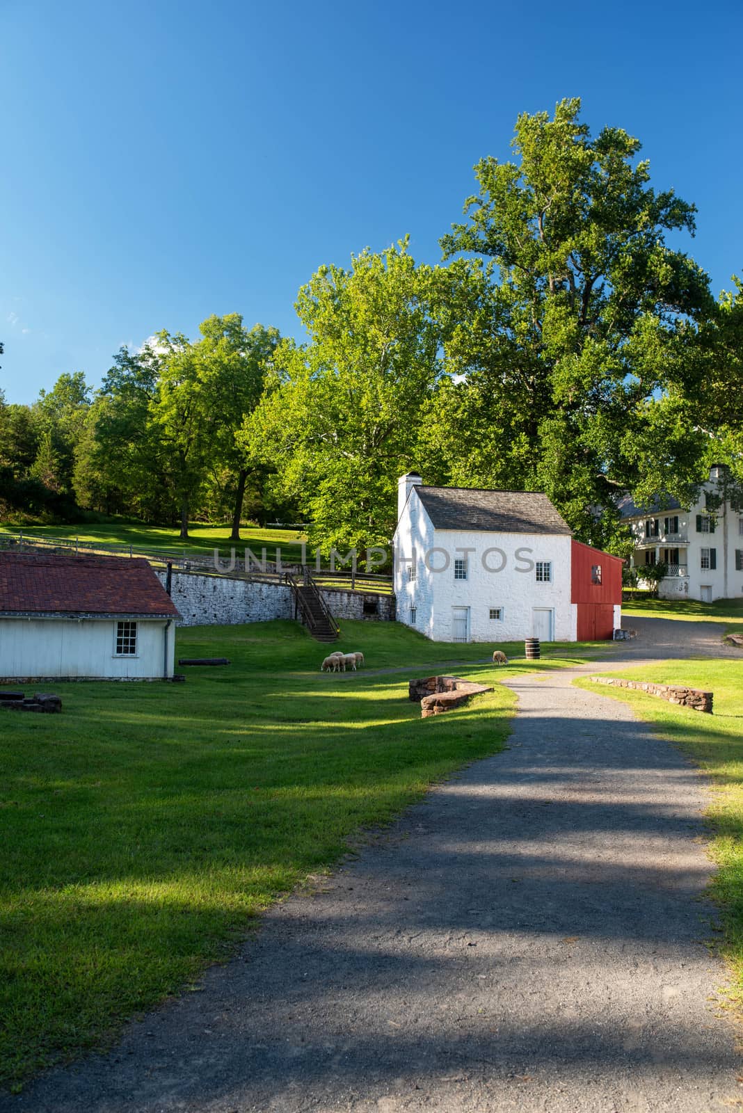 Sheep graze in an idyllic colonial village scene at Hopewell Furnace National Historic Site. White stone cottage and ethereal summer scene in a Pennsylvania landsape.