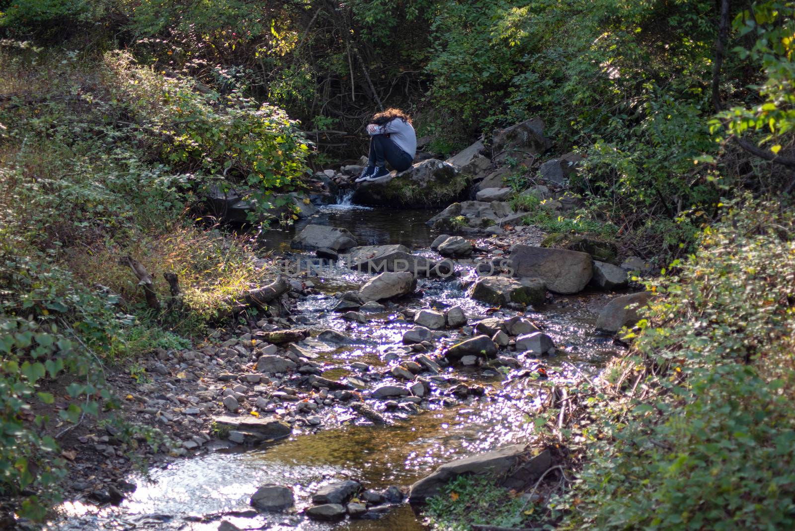 Young man with long hair sits alone on a rock by a flowing forest stream, hiding his face. Full frame image of green woodland in natural golden hour sunlight with copy space.