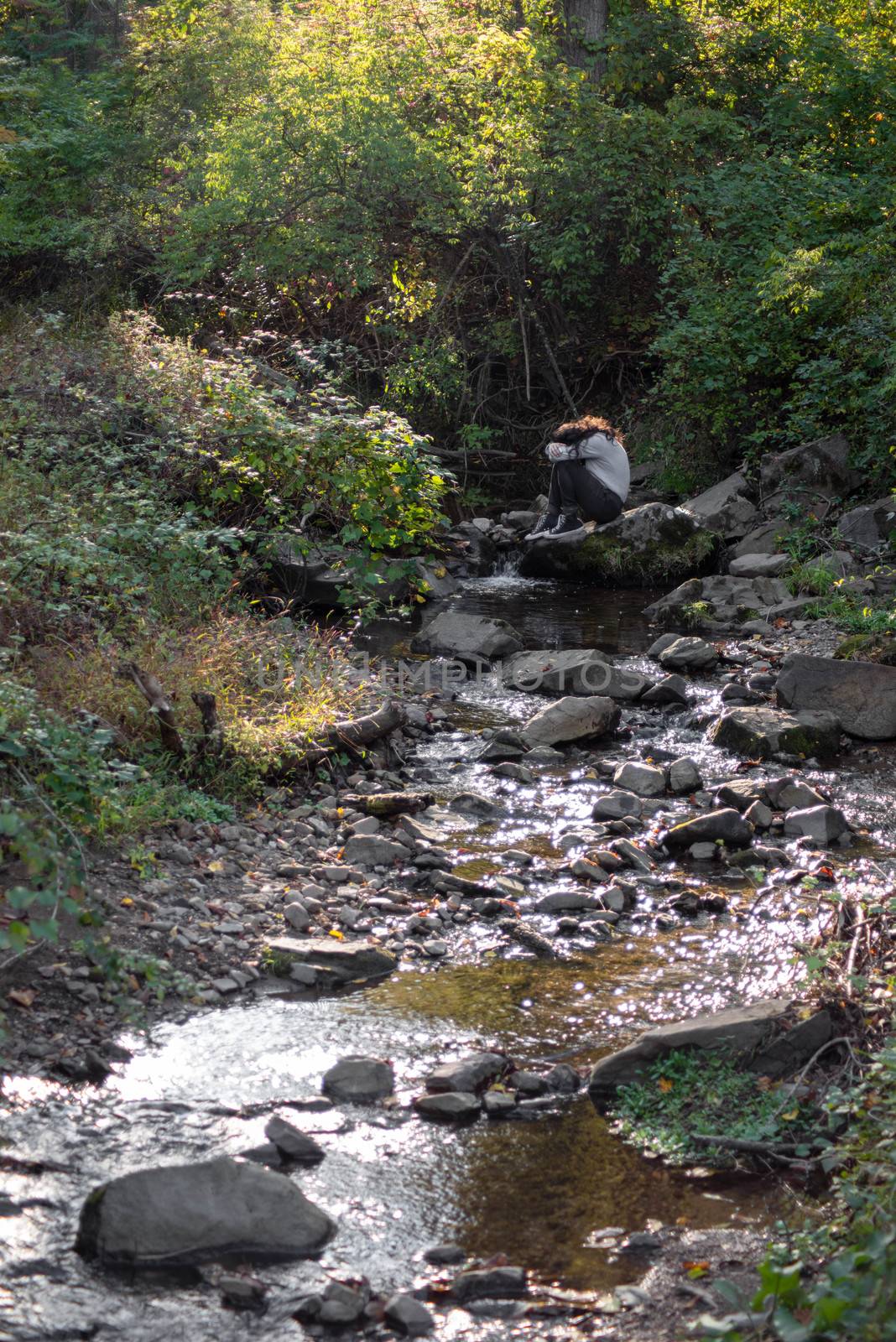 Young man with long hair sits alone on a rock by a flowing forest stream, hiding his face. Full frame vertical image of green woodland in natural golden hour sunlight with copy space.