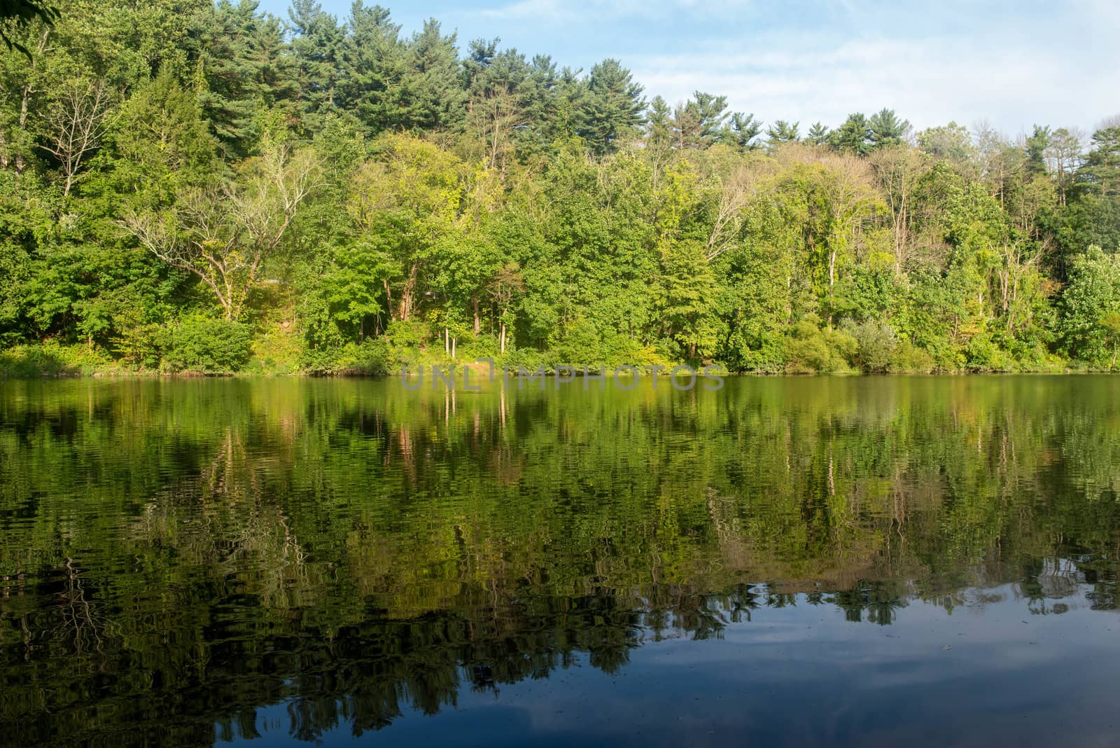 Symmetric reflection in a forest lake and blue sky by marysalen