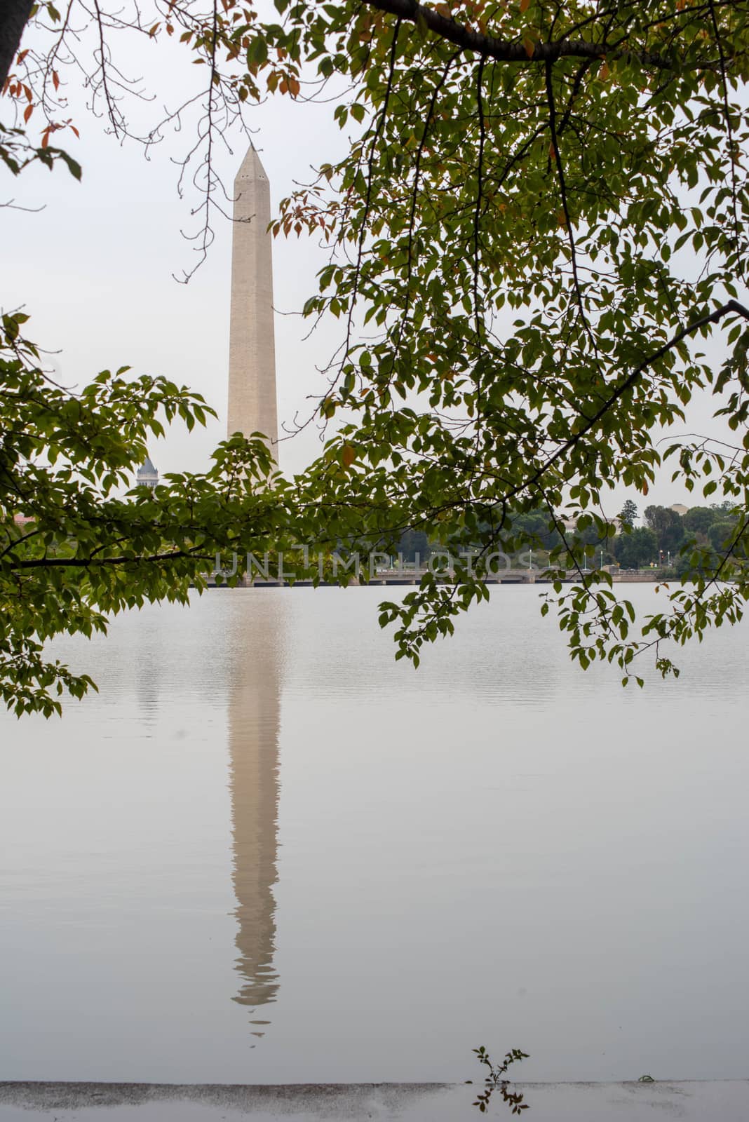 Washington Monument seen through green leaves and trees, and reflected in water. Gray sky gives a somber background tone with playful leaves in foreground