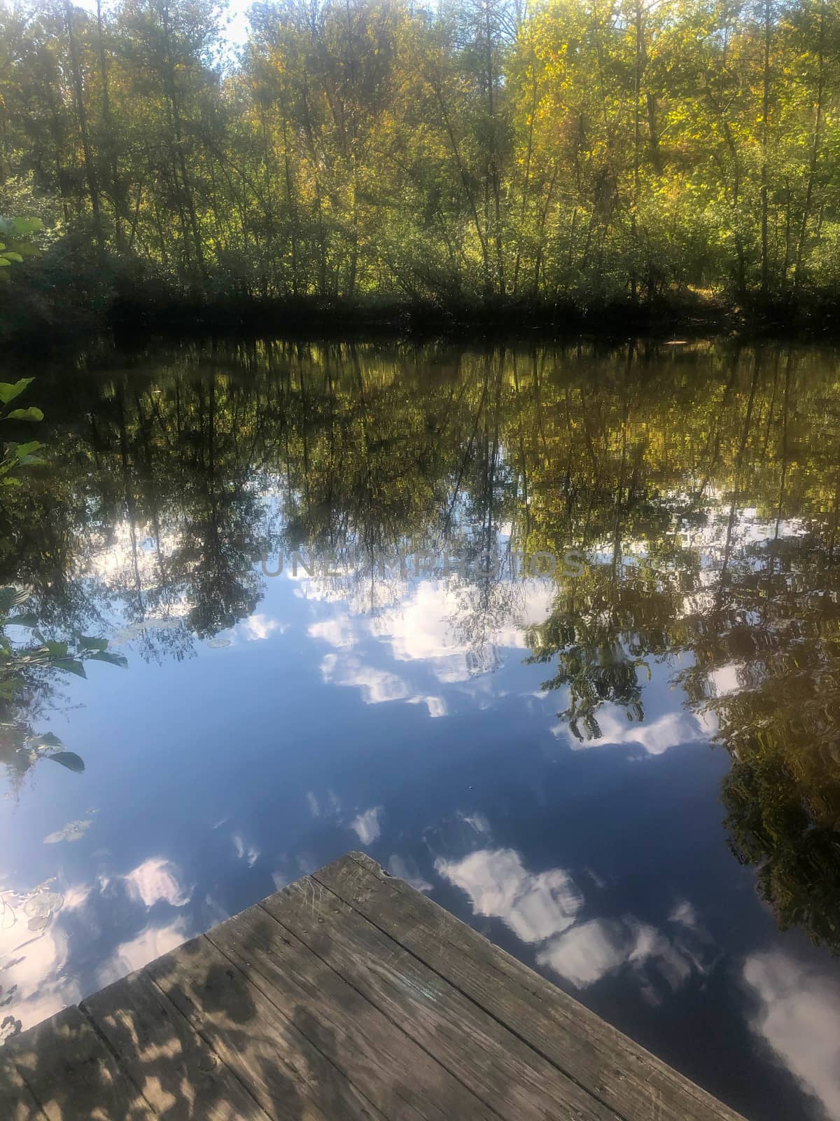Beautiful image of a forest reflection in a lake with trees big blue sky and clouds and wooden dock in foreground.