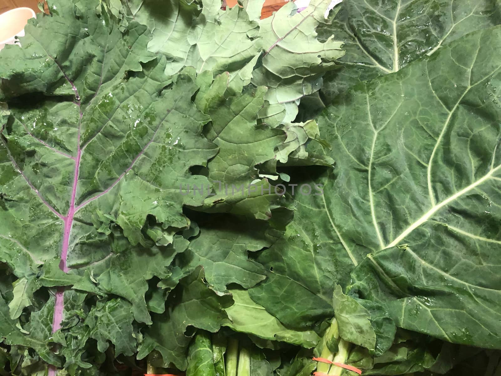 Bright green bunches of fresh farmer's market kale and collard g by marysalen