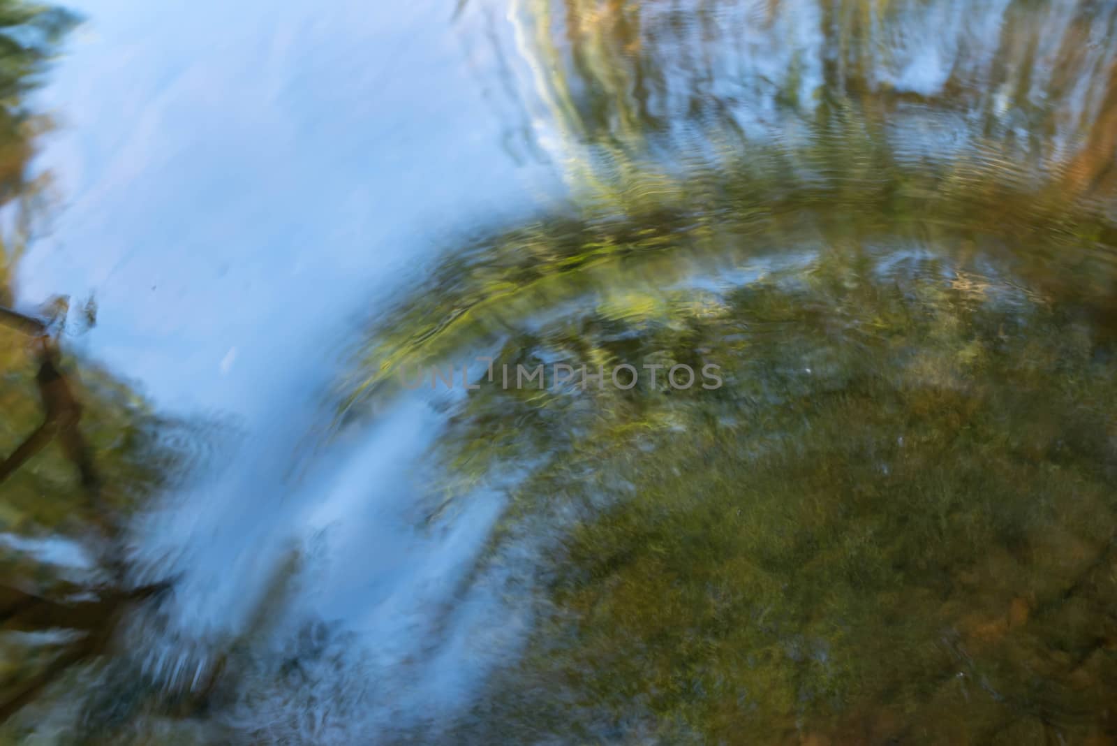 Beautiful ripples move through the water of a clam woodland pond. Trees and bright blue sky are visible, with copy space.