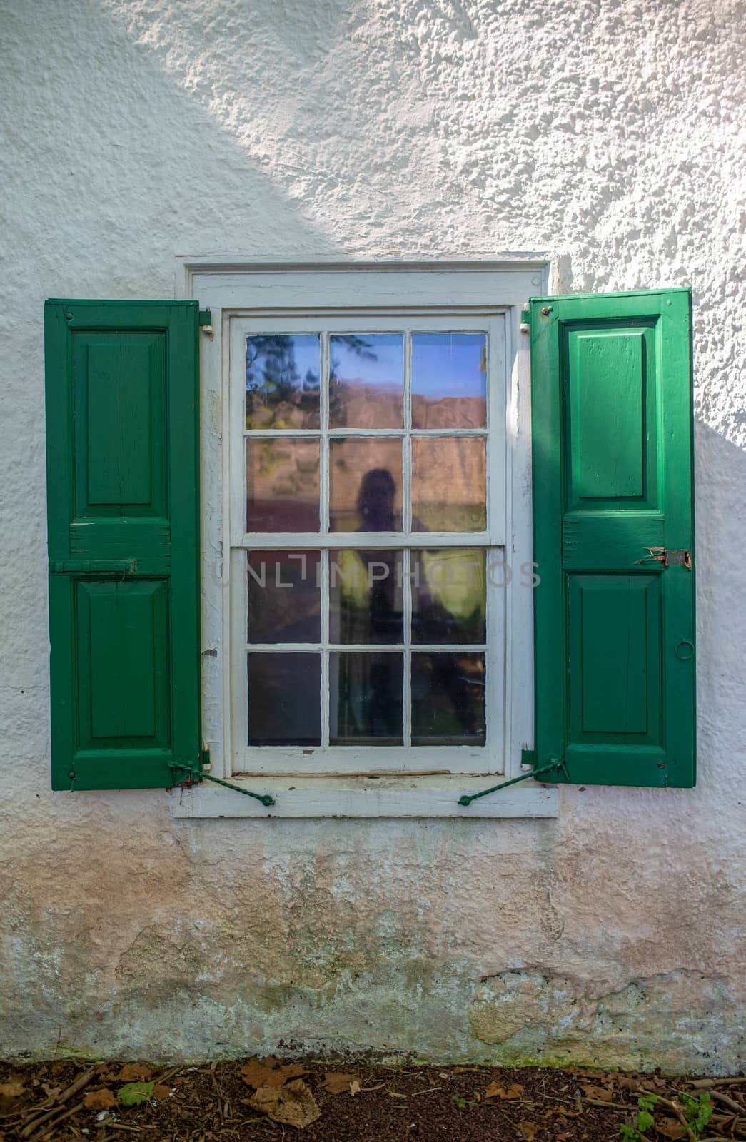 Antique colonial 12-pane window with green shutters. by marysalen