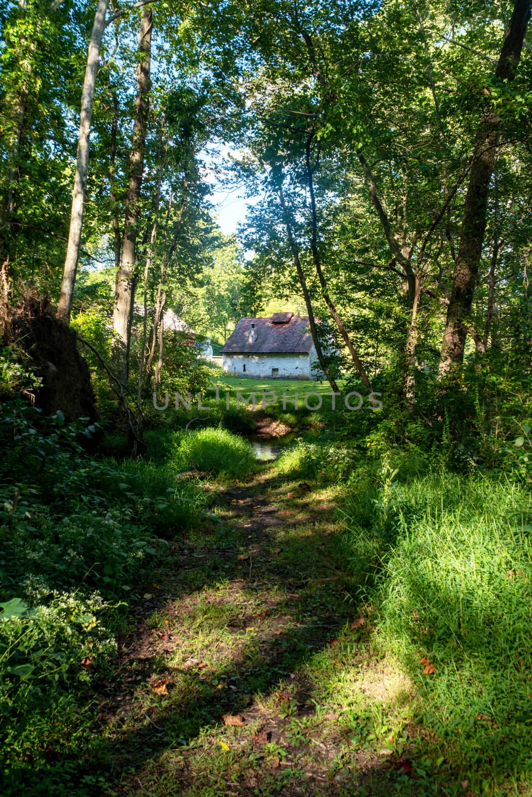 Idyllic forest path leads to quaint stone cabin by marysalen