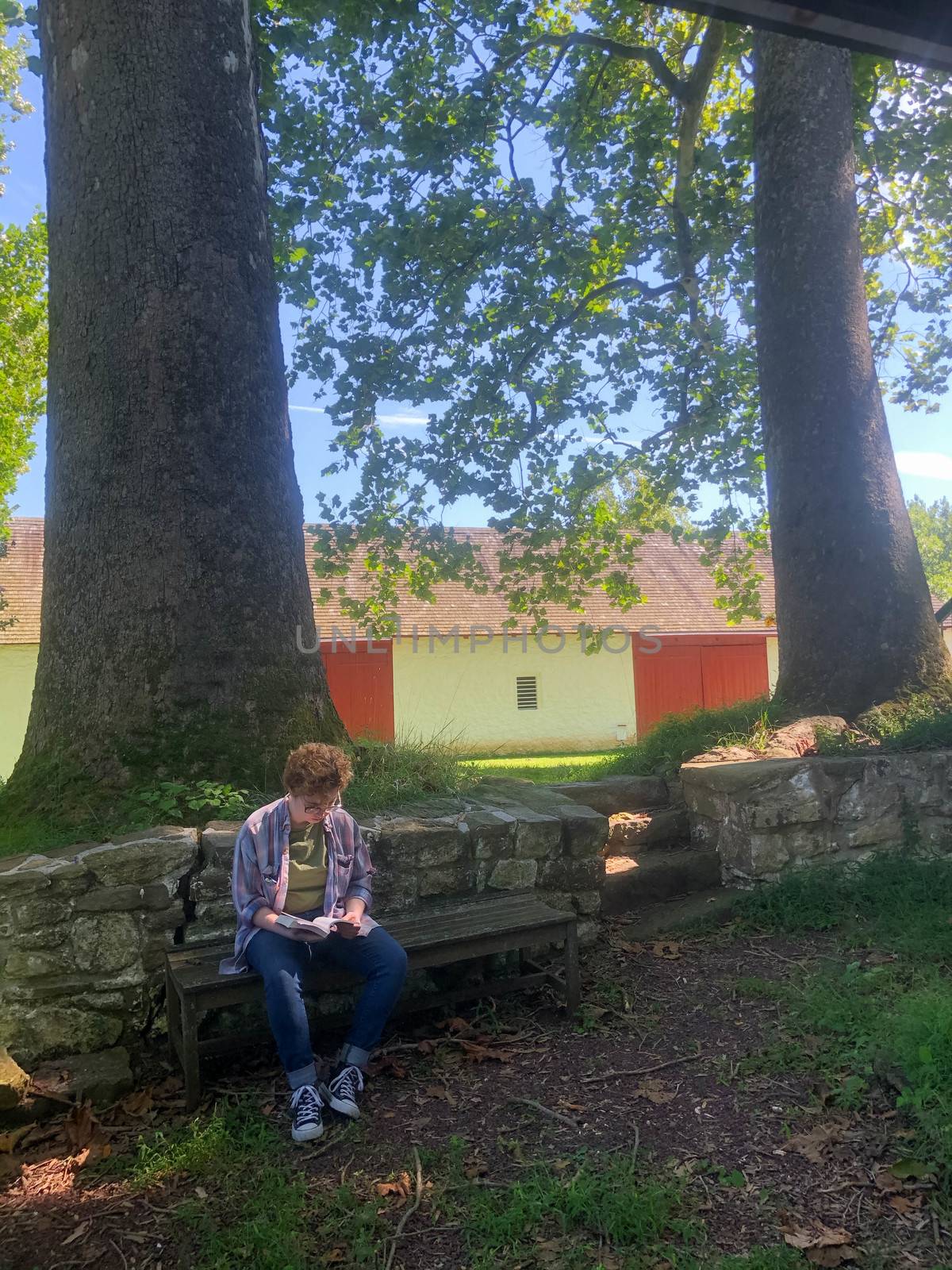 Idyllic scene of a young woman reading a book alone in a rural setting. Antique stone wall and rustic bench under two gigantic trees with a whitewashed stone barn in the background with red doors. Natural light with copy space.