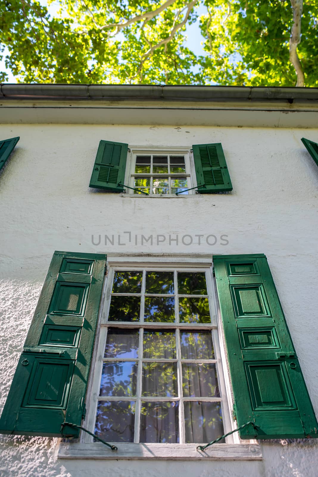 Historic colonial American home with beautiful woodwork and antique windows. Wooden dowel construction visible in frames, as well as wavy look of antique glass. Gorgeous 15-pane windows reflect the surrounding trees--with copy space.