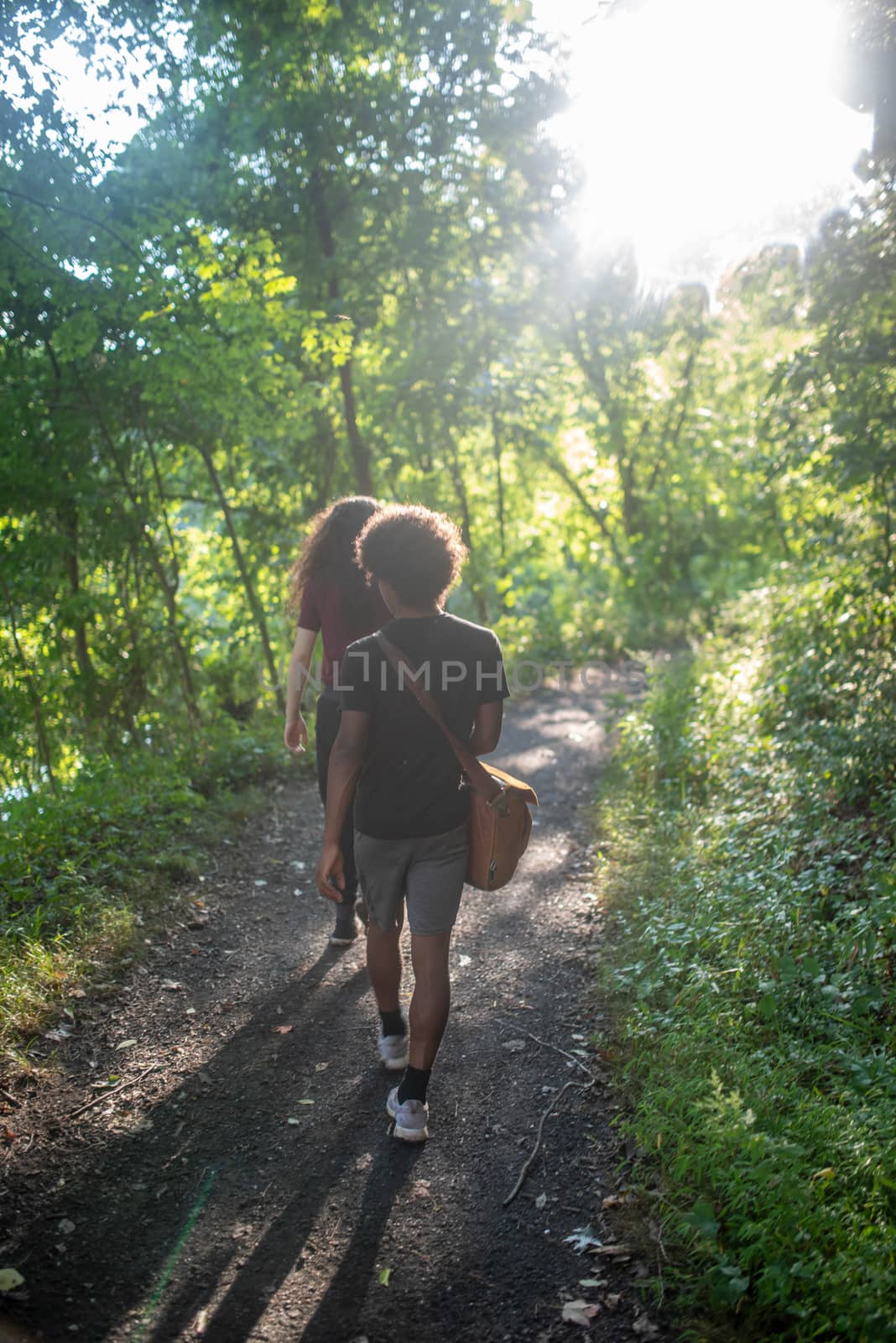Young African American and Caucasian men hike a woodland path in beautiful golden hour sunlight. Full frame with copy space.