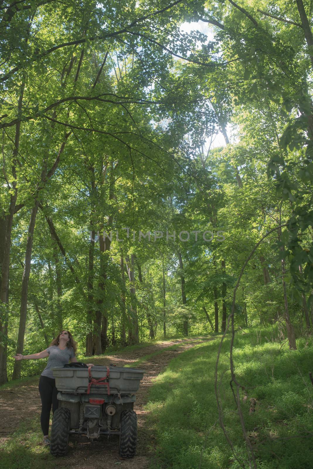 Full frame relaxing image of a solitary woman with her arms outstretched staring at the natural woodleand beauty surrounding her.