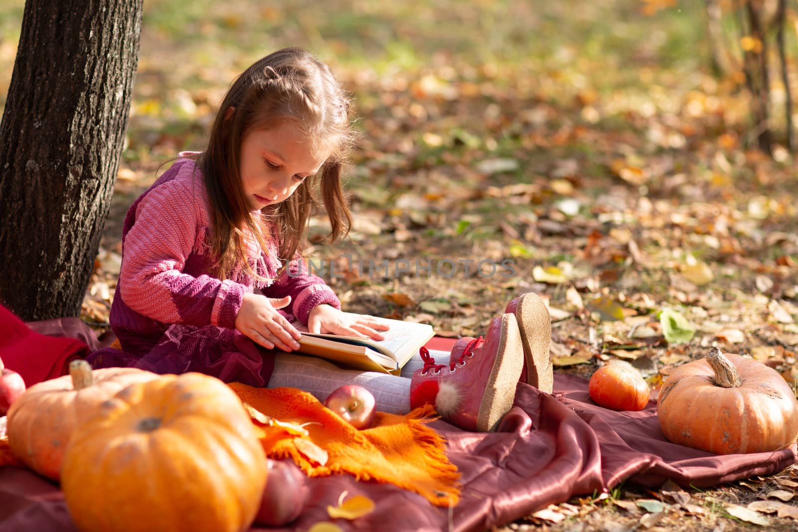 Cute little girl in autumn park with books and orange color leaves and yellow pumpkin. by primipil