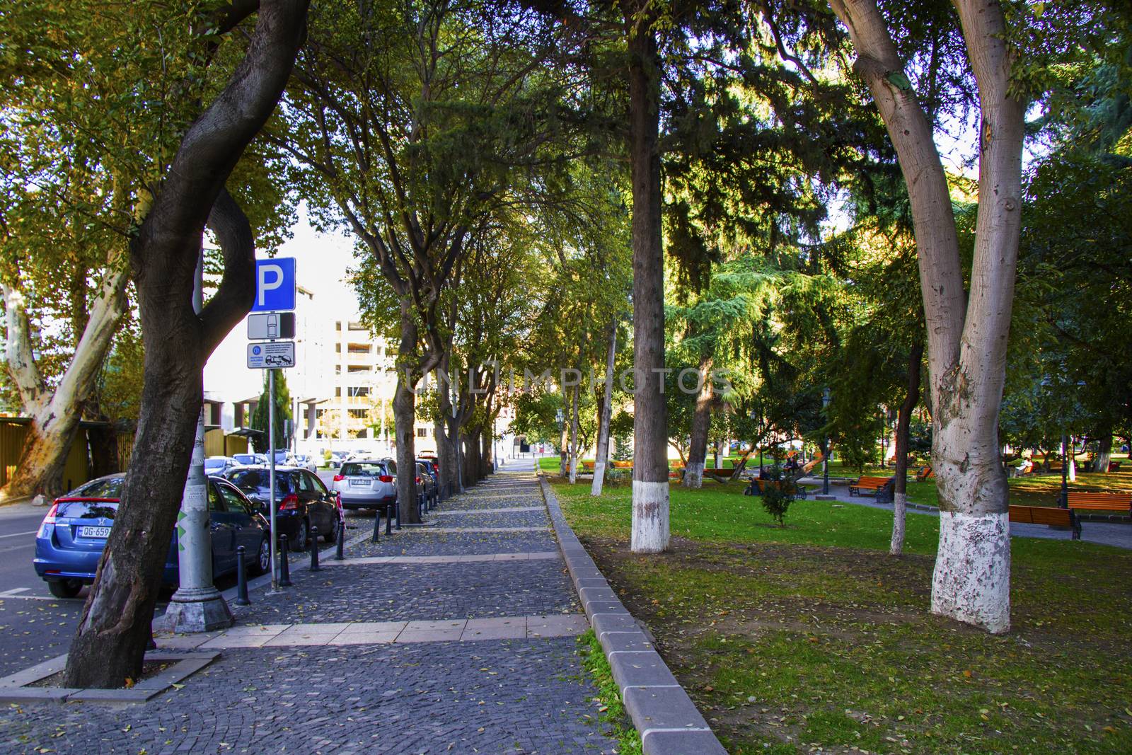 Tbilisi, Georgia - October 27, 2020: Park view in the city center