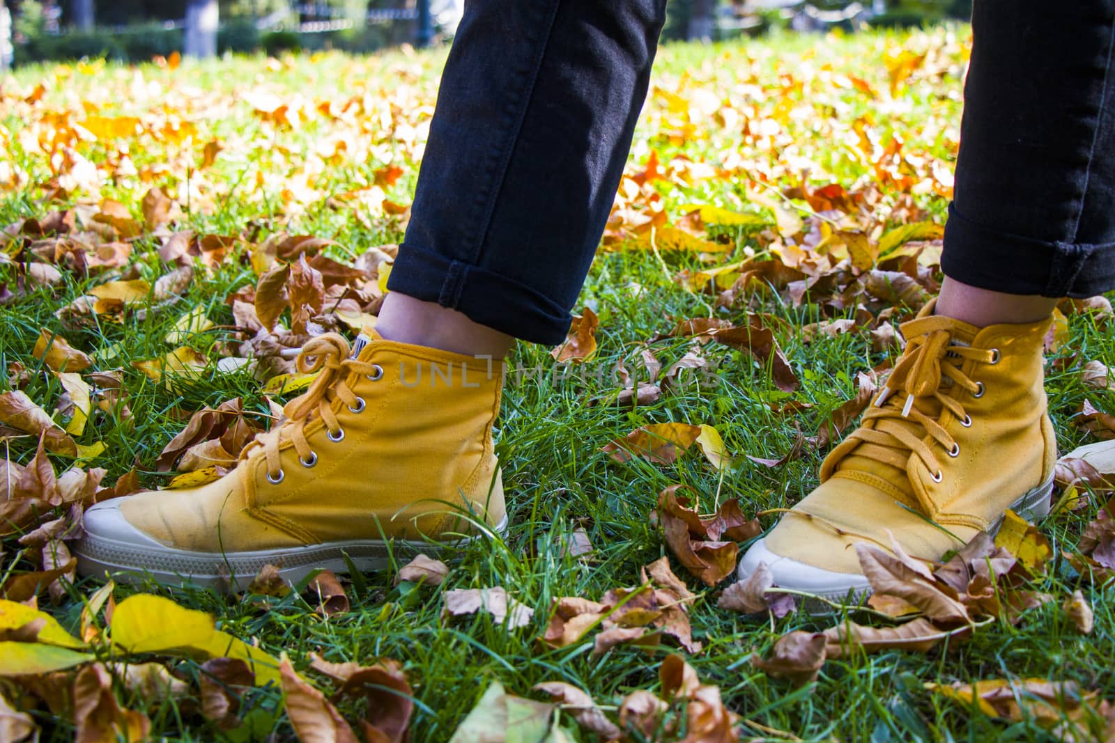 Yellow boots and autumn leaves in park