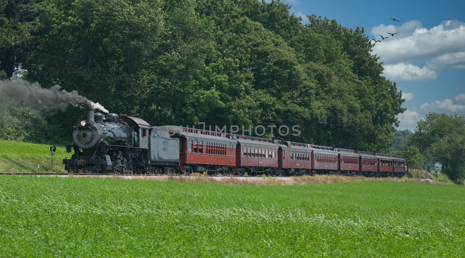Antique Steam Passenger Train Puffing Lots of Black Smoke along Amish Countryside with Green Fields