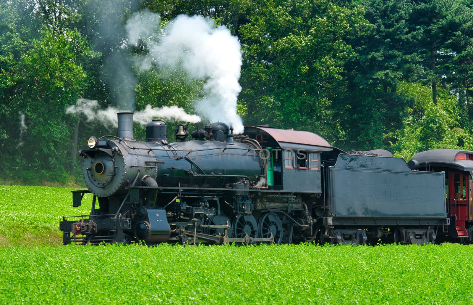 Close Up of an Antique Steam Passenger Train Puffing along Amish Countryside with Green Fields