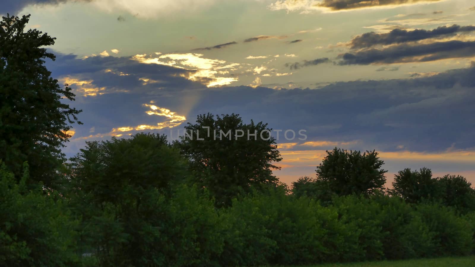 Sunset Landscape Thru Trees with Sun Rays