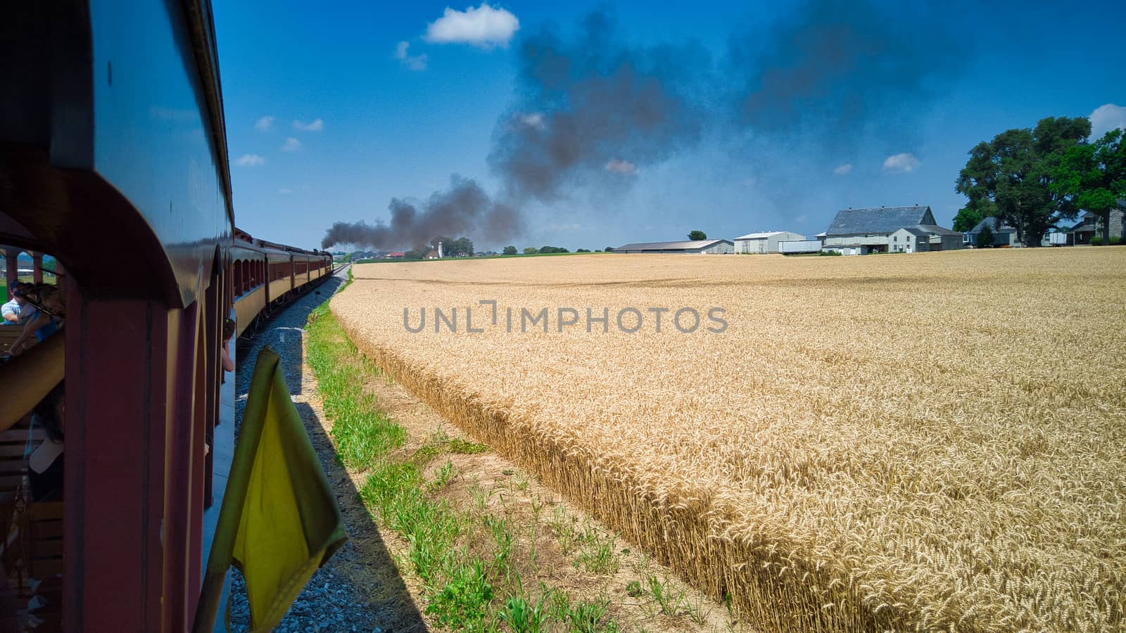 Steam Passenger Train Traveling Along Wheat Field on a Sunny Day