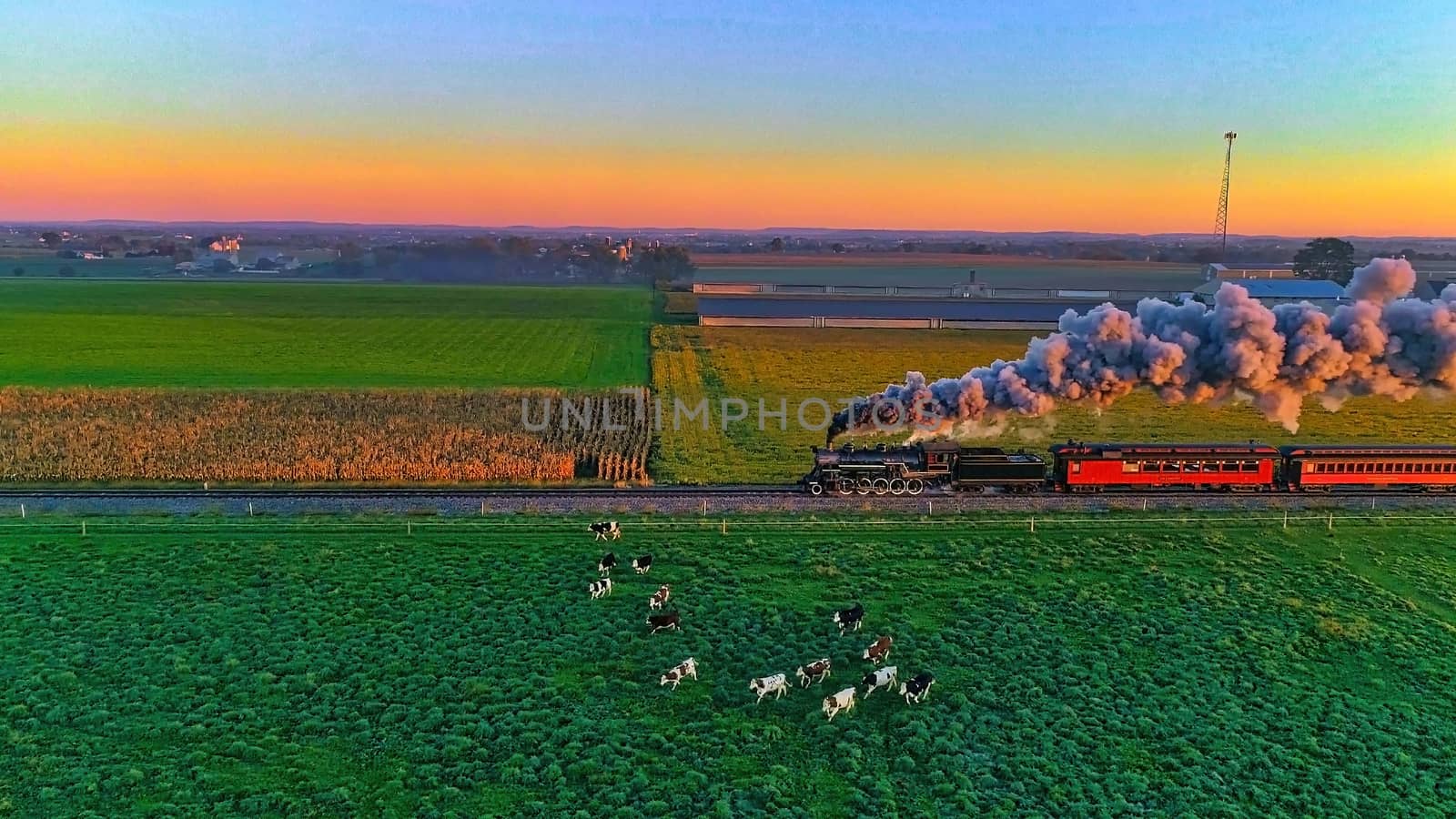 Aerial View of Steam Passenger Train at Sunrise Traveling Thru Amish Countryside with Cows Running away