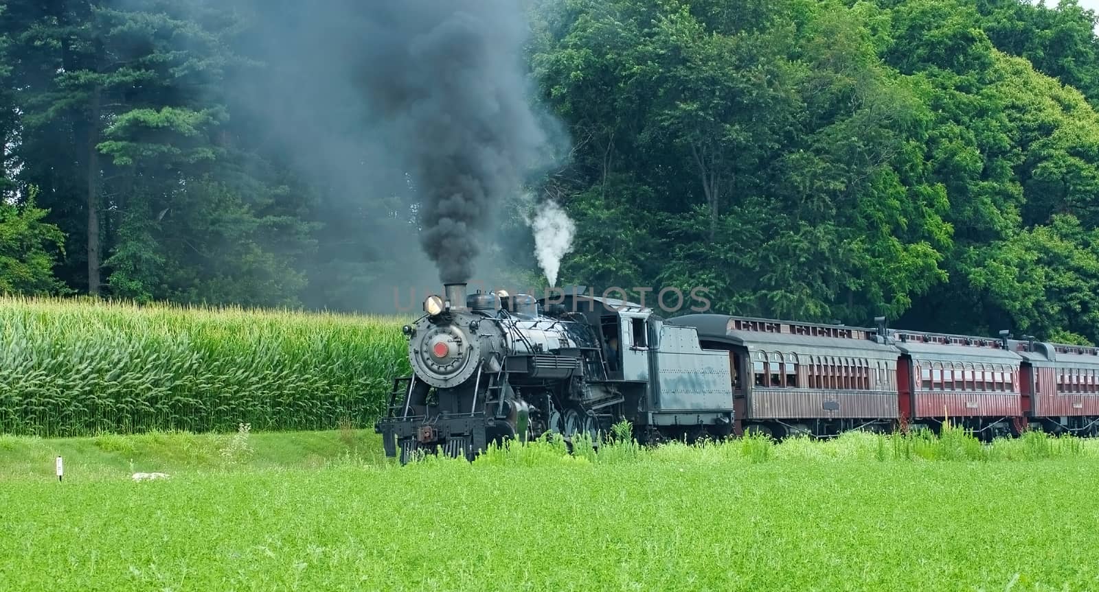 Antique Steam Passenger Train Puffing along Amish Countryside with Green Fields