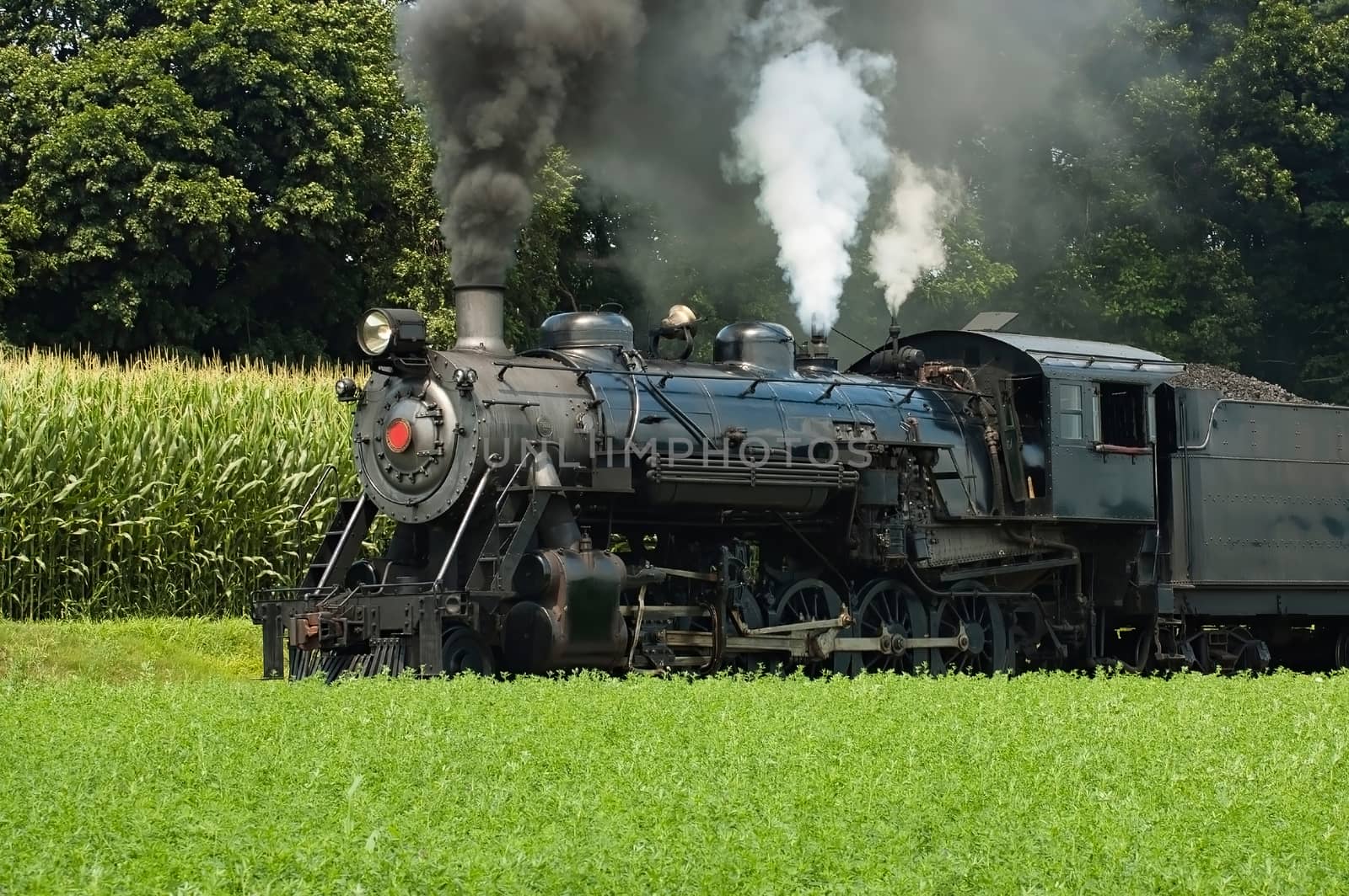 Close Up of an Antique Steam Passenger Train Puffing along Amish Countryside with Green Fields