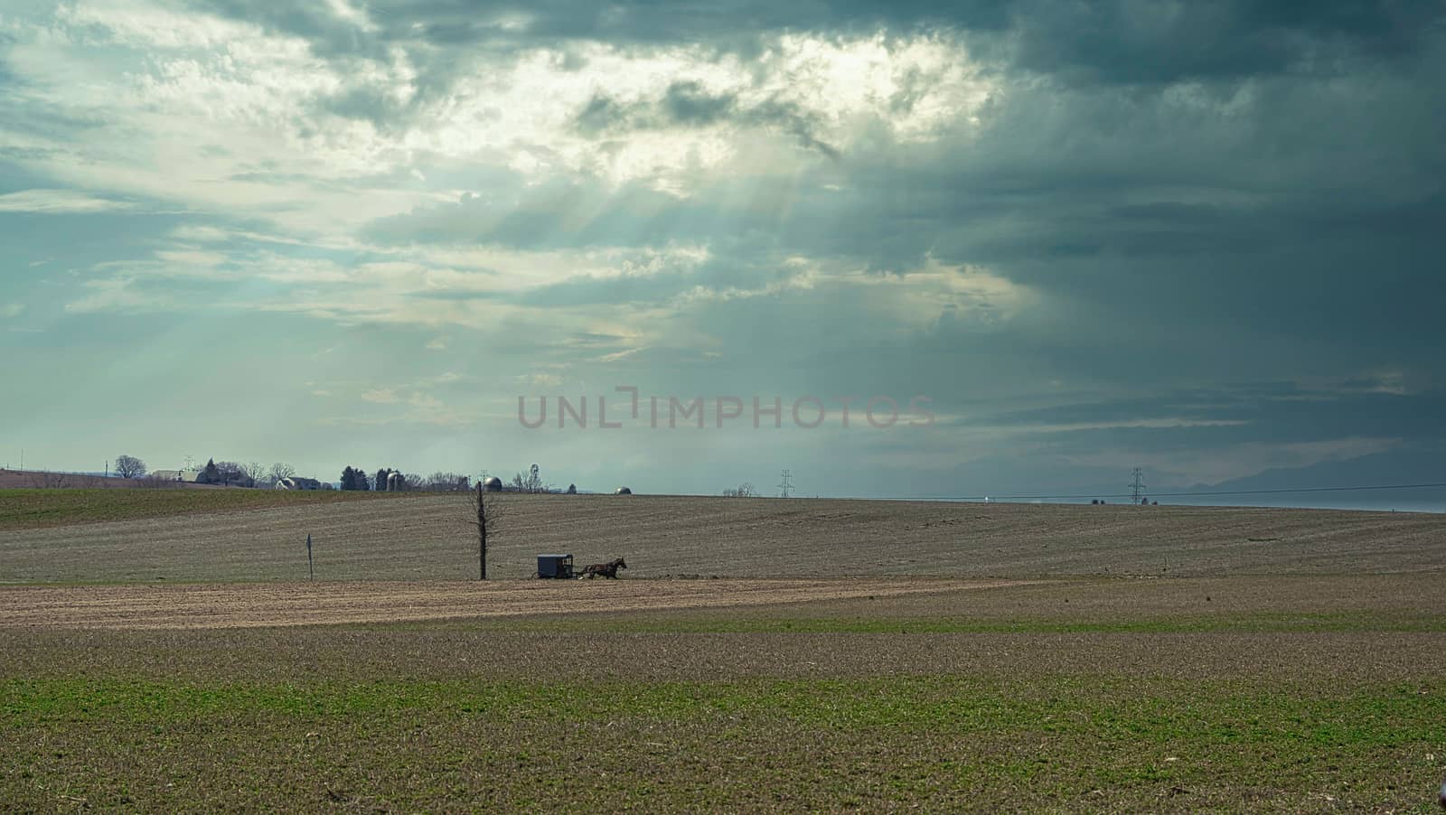 Landscape of Amish Countryside with a horse and Buggy in the Distance