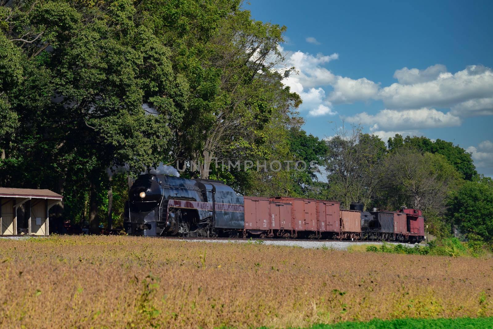Antique Steam Freight Train Puffing Smoke and Steam While going Thru Amish Countryside