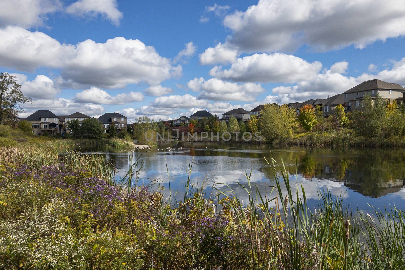 In the small lake, where wild ducks and Canadian geese bask, the houses of the sleeping area of the city are reflected