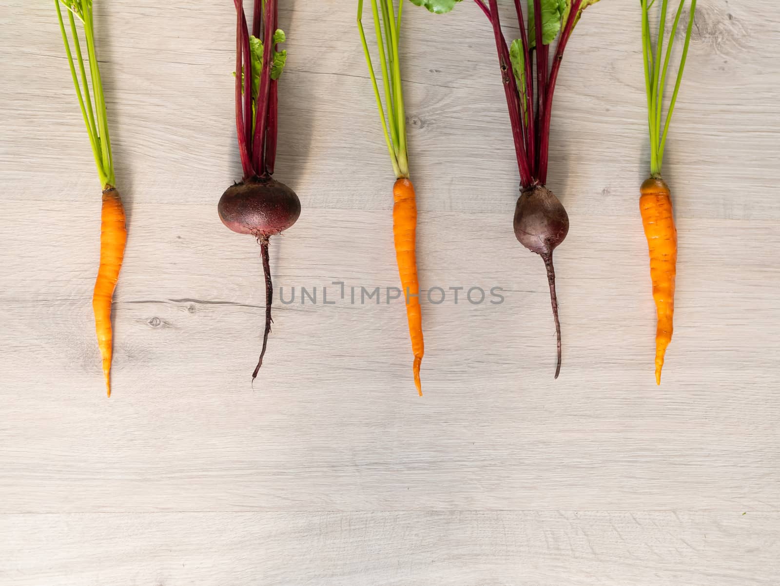 Fresh beautiful washed beets and carrots. layout, top view by Try_my_best