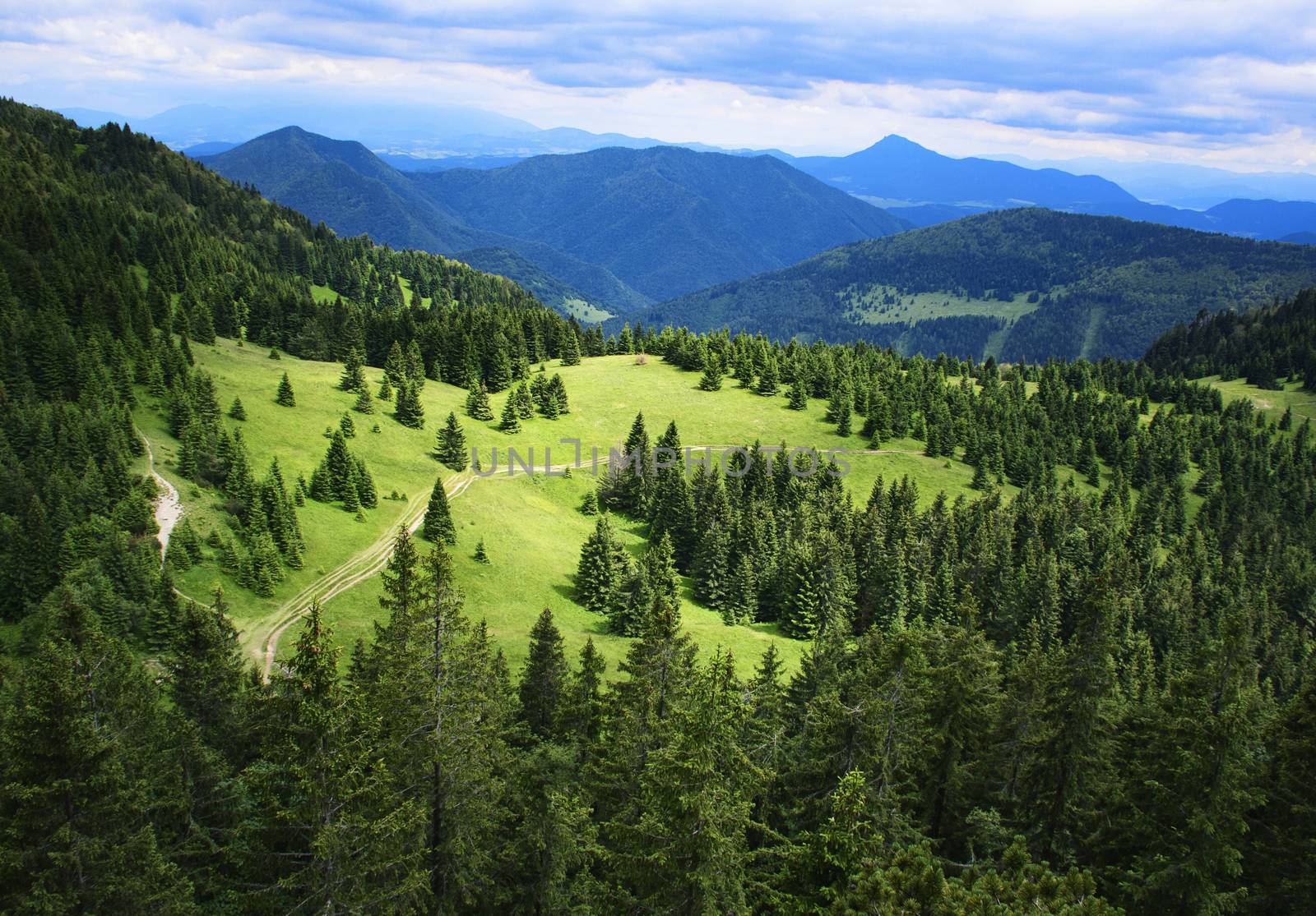 top view of a mountain meadow by Ahojdoma
