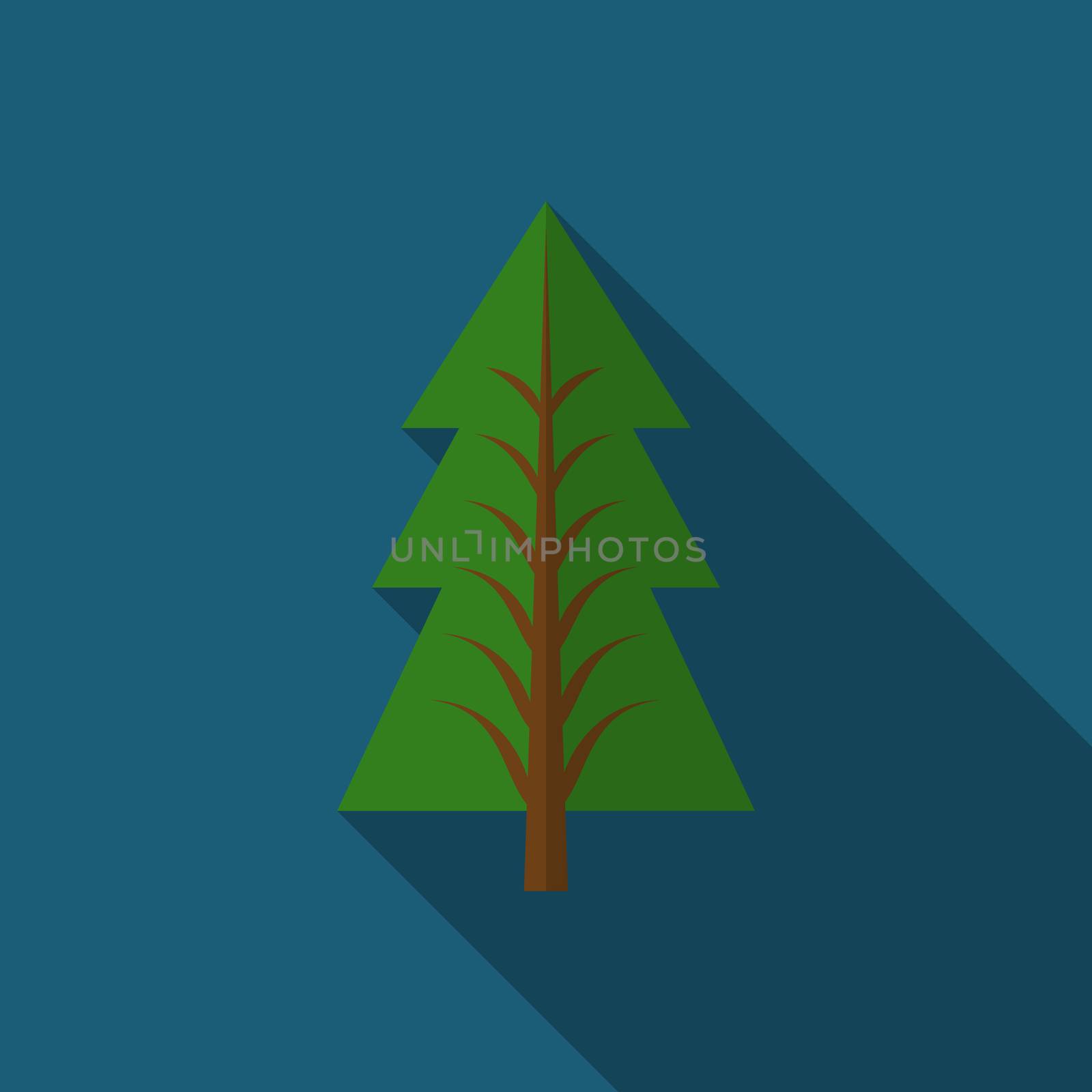 Flat design modern vector illustration of pine tree icon, with long shadow.