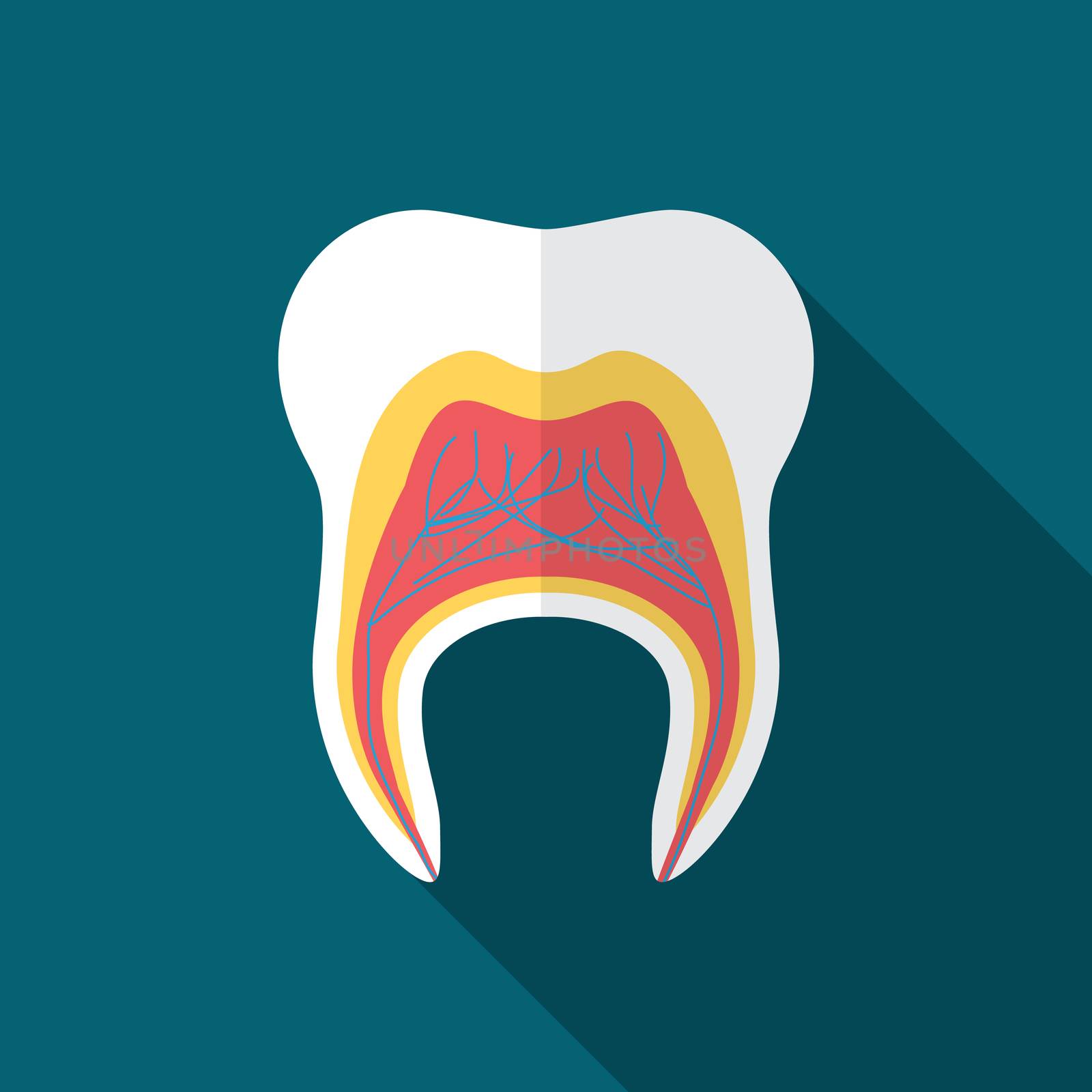 Flat design modern vector illustration of tooth icon with long shadow by Lemon_workshop