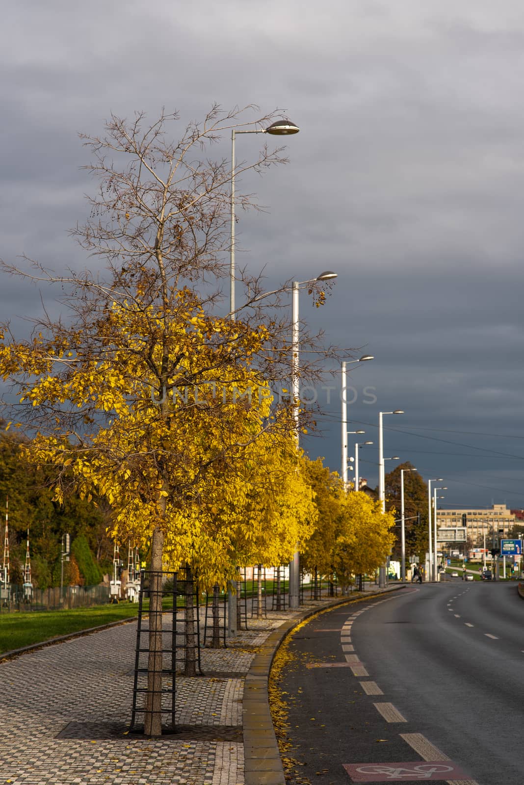 Trees with yellow leaves on a grey sky Autumn day close to a highway in Prague by gonzalobell