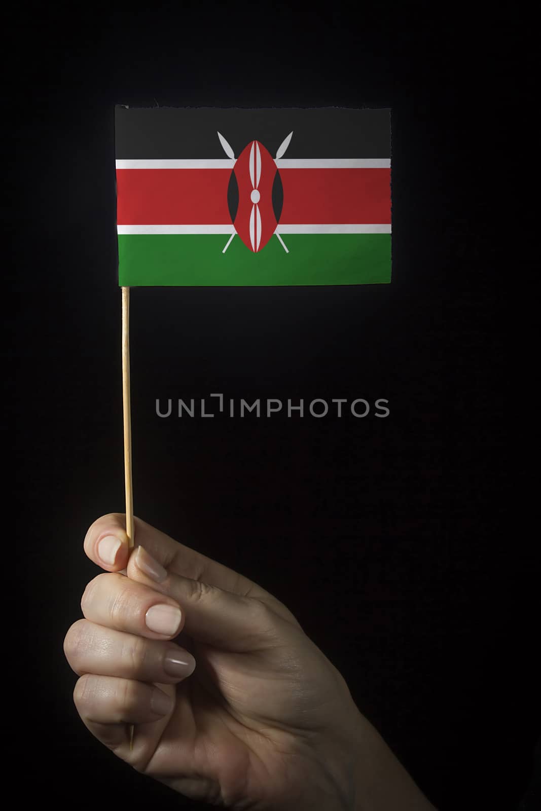 Hand with small flag of state of Kenya