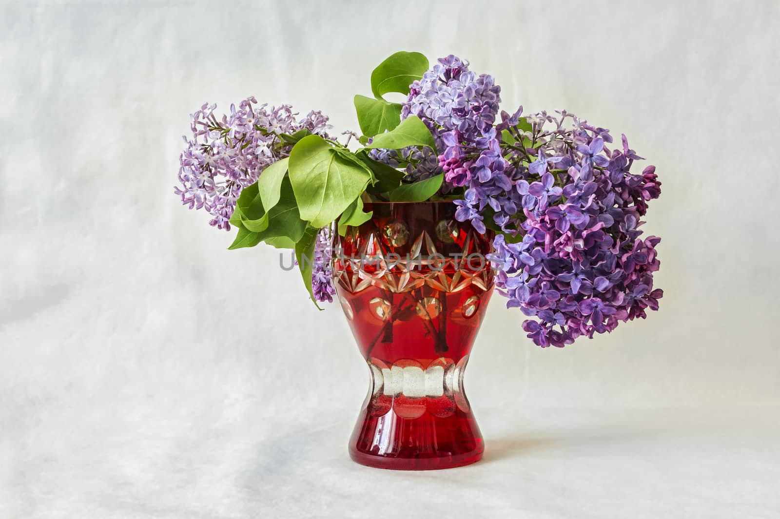 Lilac flowers in a red vase on a gray background