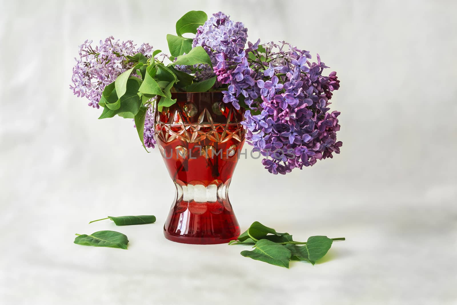 Lilac flowers in a red vase and fallen green leaves on a gray background