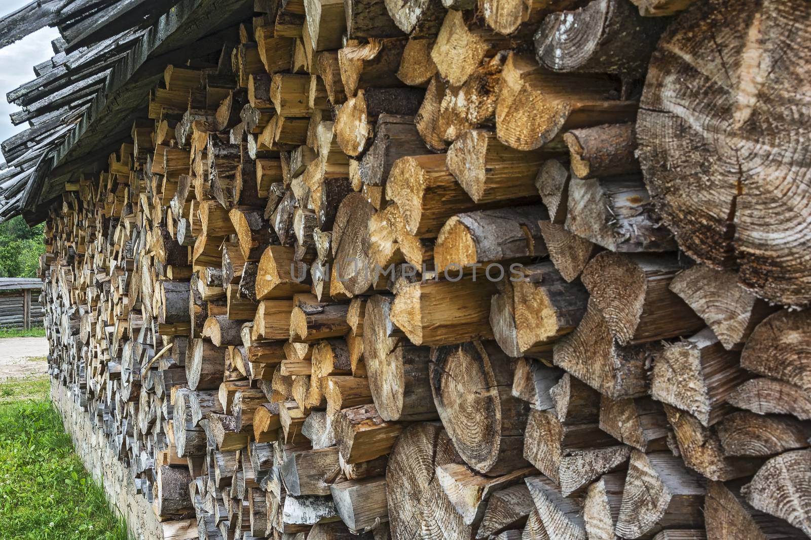 Under a canopy, firewood is placed in the woodpile for the winter season