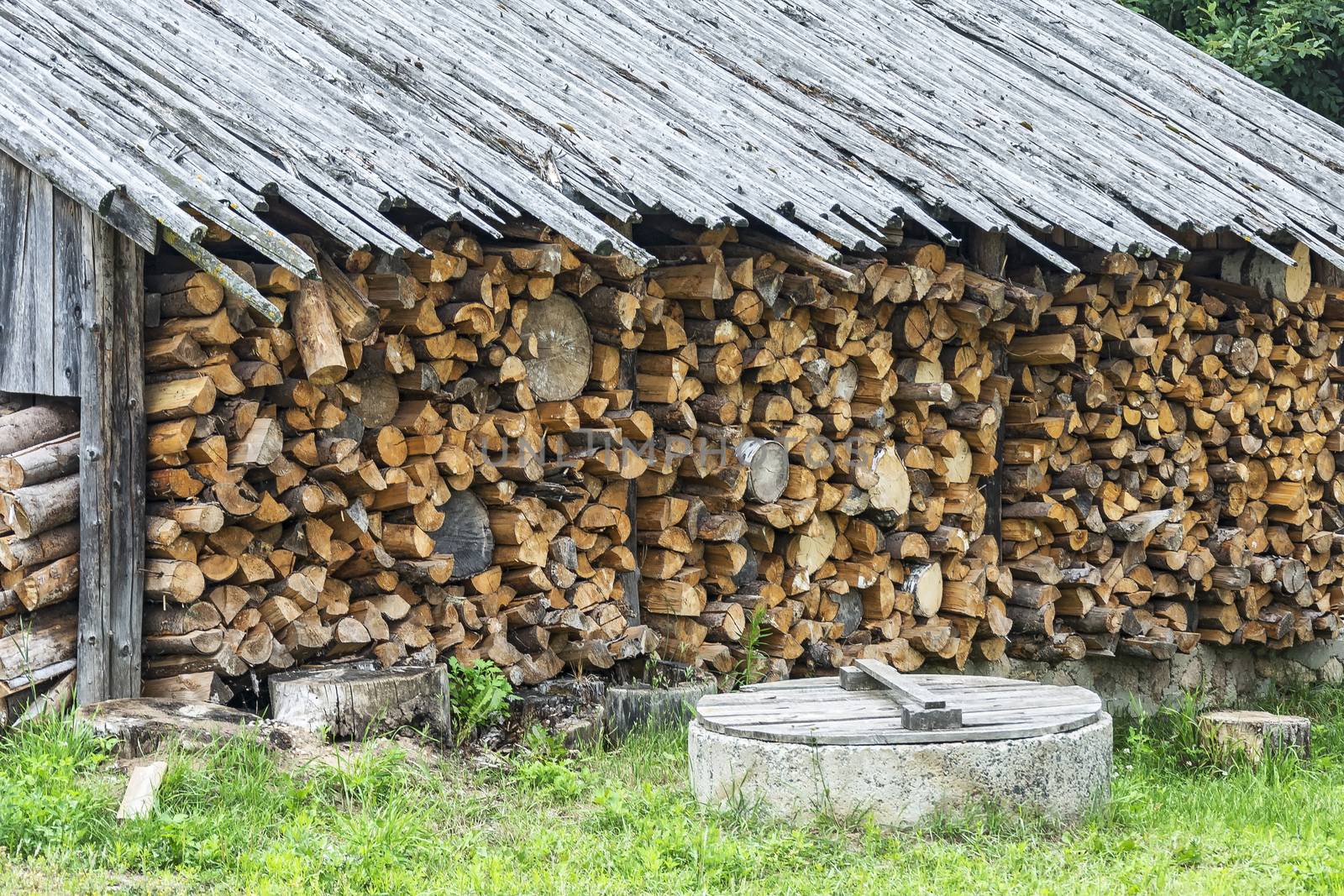 Chopped firewood stacked in a woodpile under a canopy