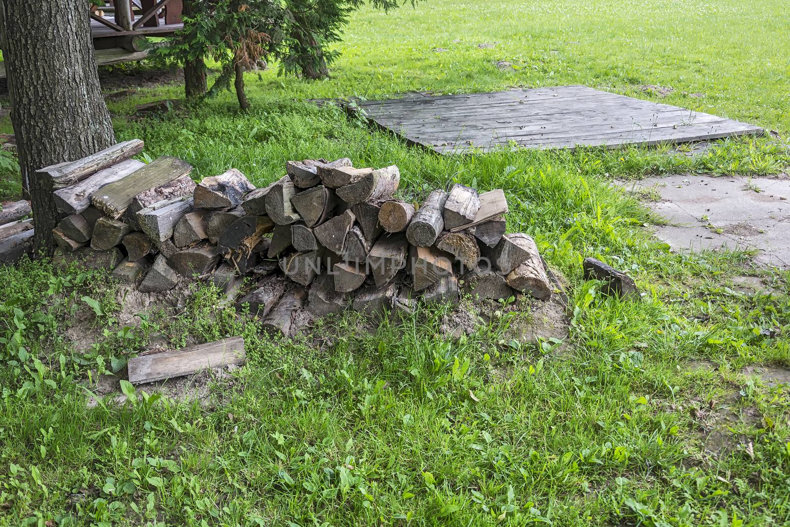 On the grass near the tree stacked firewood