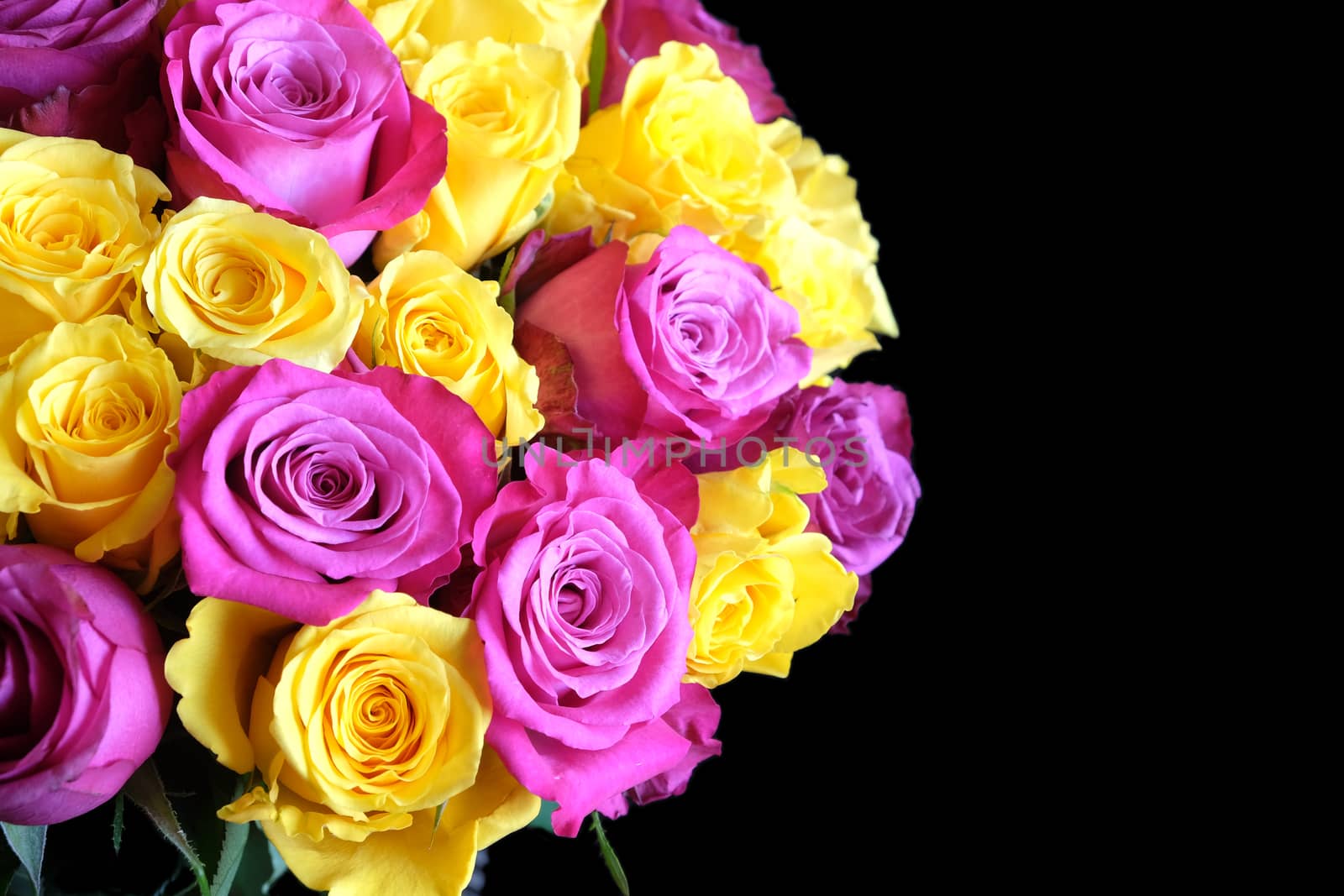 Beautiful round bouquet of pink and uellow roses flowers on left side of the Photo isolated on black background closeup