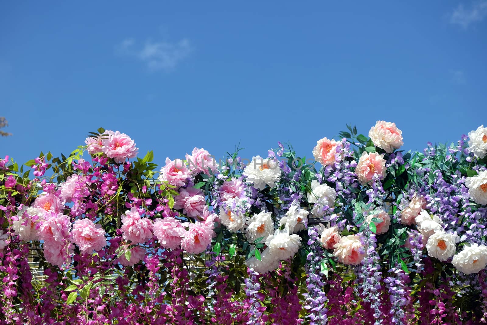 Many spring flowers on bottom line under clear blue sky by dymaxfoto