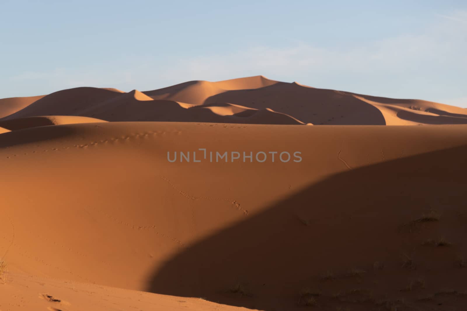 Sahara sand dunes in late afternoon sun at sunset with long shadows and texture by kgboxford