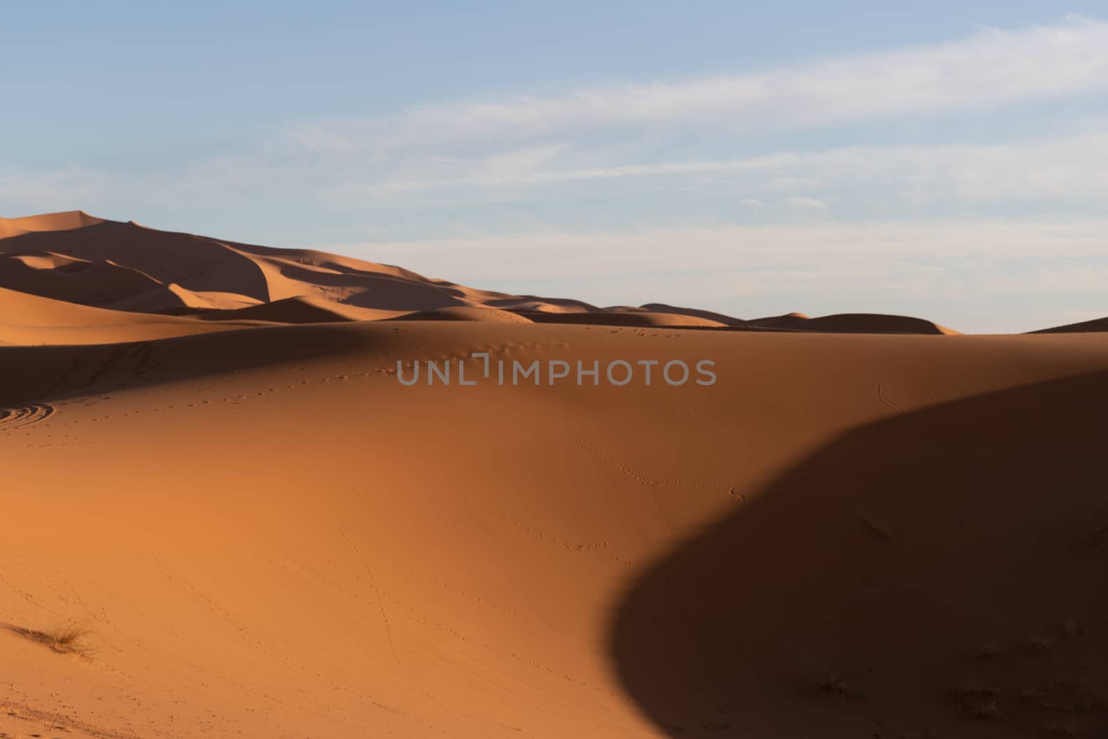 Sand dunes in the Saharan desert in Morocco in late afternoon golden sun at sunset with long shadows and texture. High quality photo