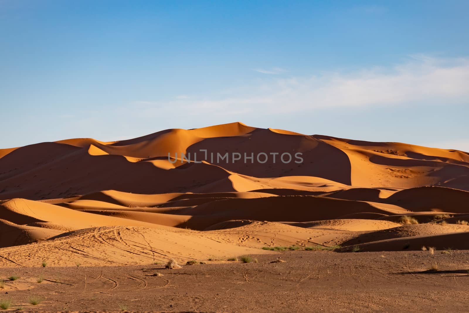 Sand dunes in the Saharan desert in Morocco in late afternoon golden sun at sunset with long shadows and texture. High quality photo