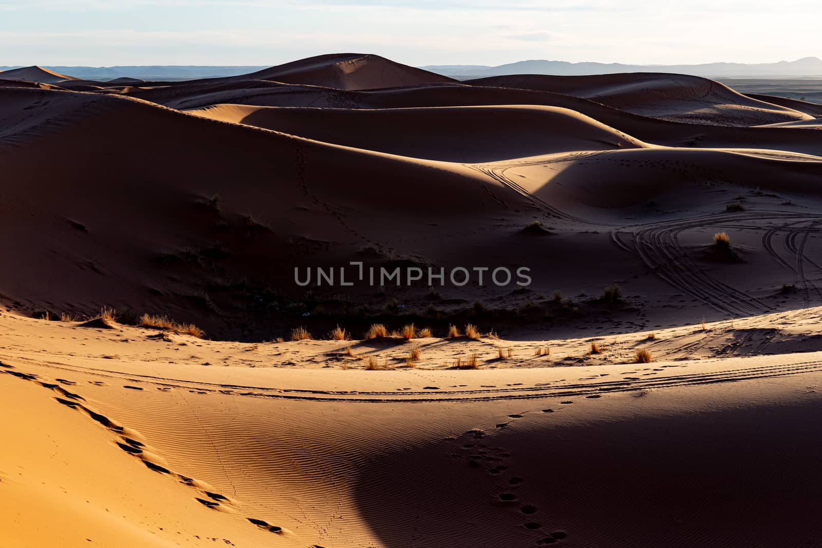 Sahara sand dunes in late afternoon sun at sunset with long shadows and texture by kgboxford